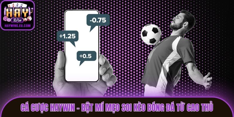 Cá Cược Haywin - Bật Mí Mẹo Soi Kèo Bóng Đá Từ Cao Thủ
